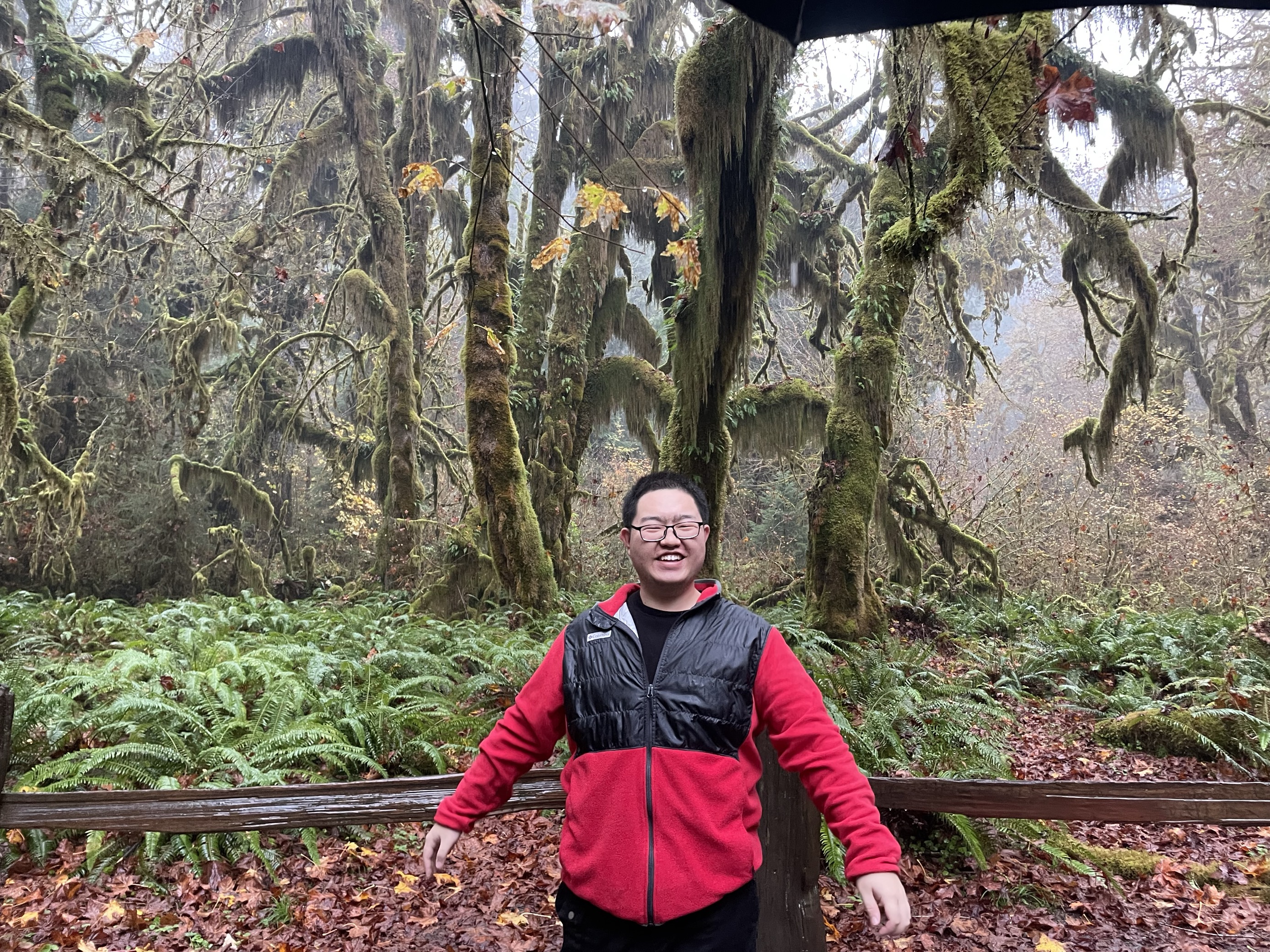 Olympic National Park